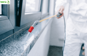 شركة رش مبيدات بالبدايع