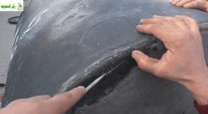 شركة لحام خزانات المياه بالبدايع