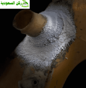 فحص شامل قبل أي عملية لحام أو عزل