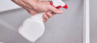 شركة مكافحة حشرات بالزلفى