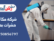 شركة مكافحة حشرات بحائل