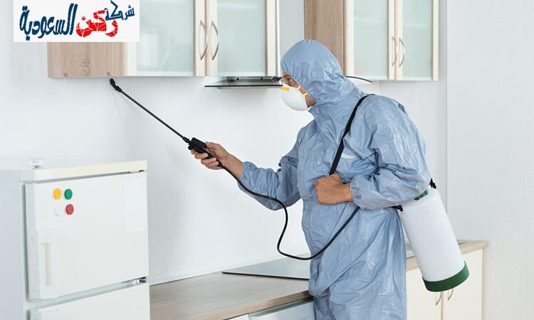 شركة رش صراصير بحائل