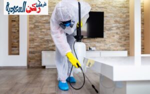 طرق علاج النمل الأبيض نهائياً