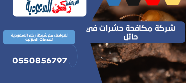 شركة مكافحة حشرات في حائل