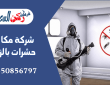 شركة مكافحة حشرات بالزلفى