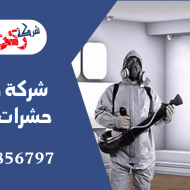 شركة مكافحة حشرات بالزلفى