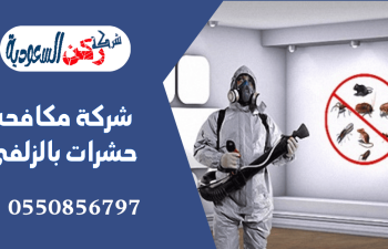 شركة مكافحة حشرات بالزلفى