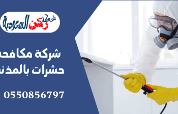 شركة مكافحة حشرات بالمذنب
