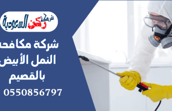 شركة مكافحة النمل الأبيض بالقصيم