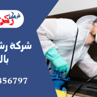 شركة رش مبيدات بالرس